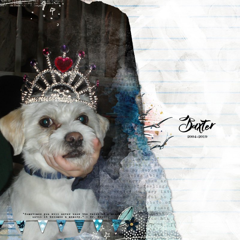 MOC#9 Day 31 Scrap From the Heart :: Baxter