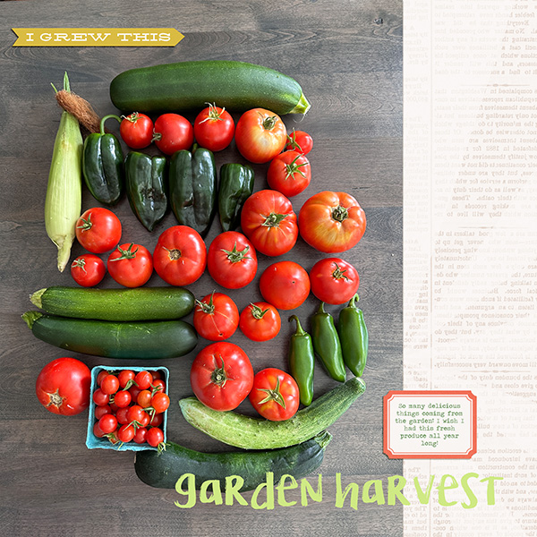MOC 9 Garden Harvest