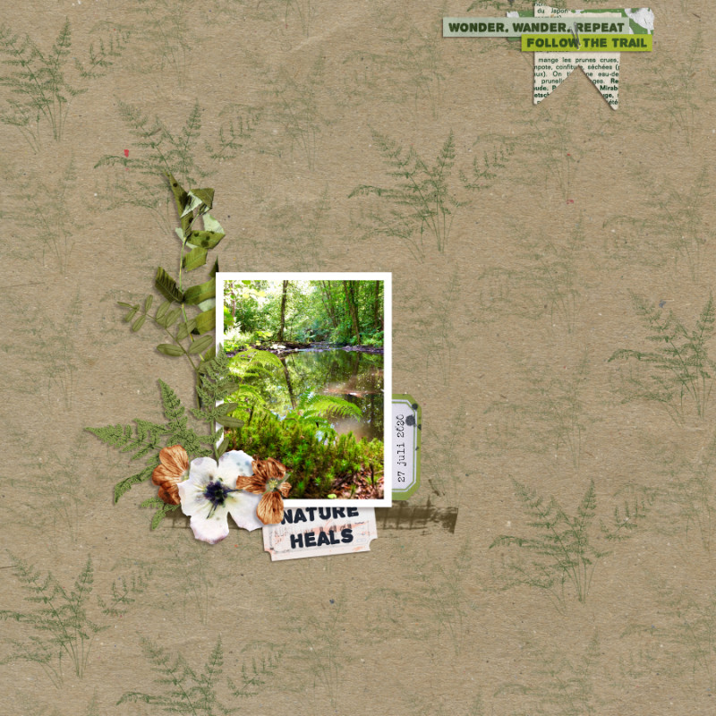 Moc 9 - January 19 - Stamped Background