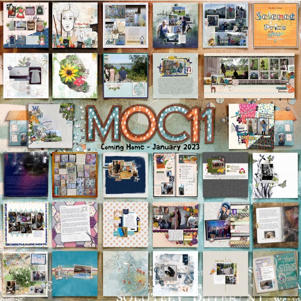 MOC Collage
