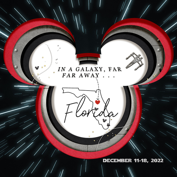 MOC D11 Disney Album Cover