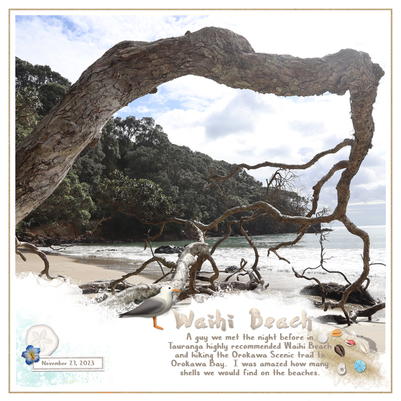 MOC D9 Waihi Beach-NZ