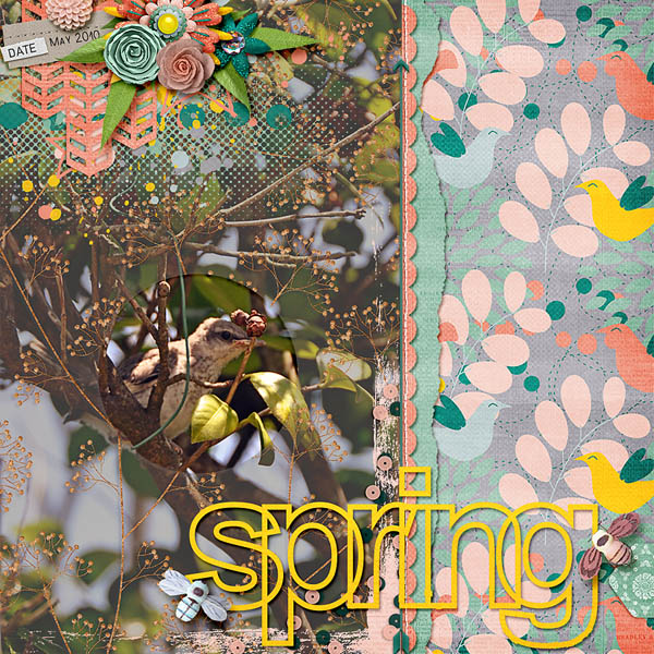 MOC day 15 Spring
