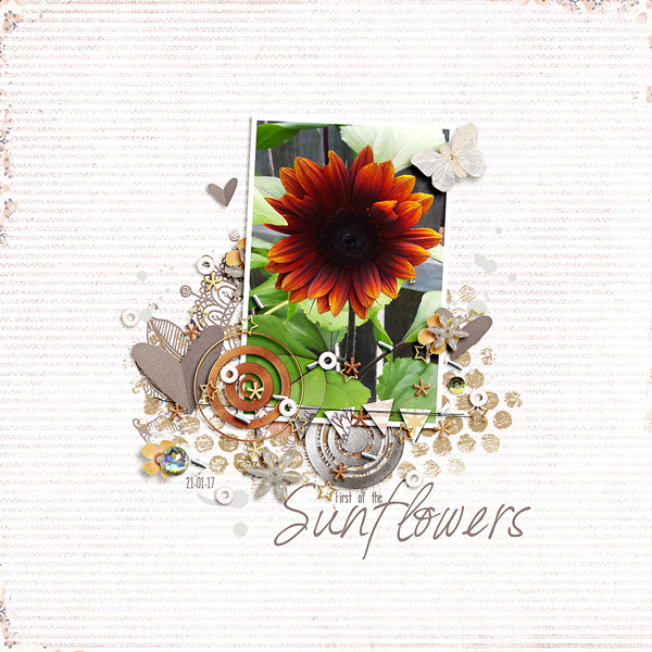 MOC Day 24 | First of the Sunflowers