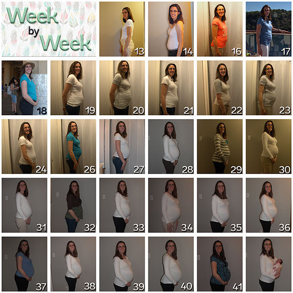 MOC Day 7 - Collage Large Number of Photos