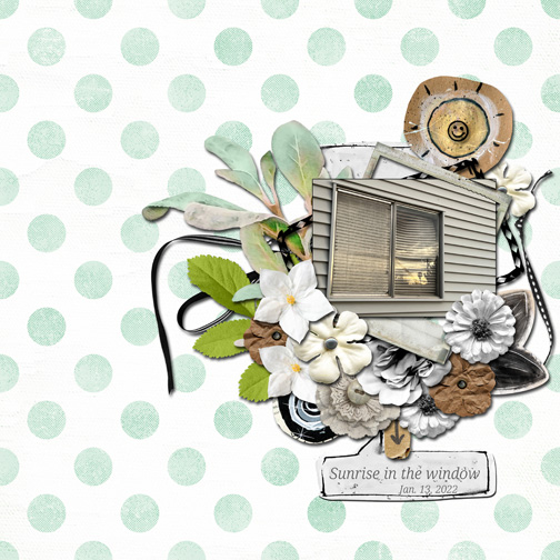 MOC Day 8 Florals Foliage Frames7x7