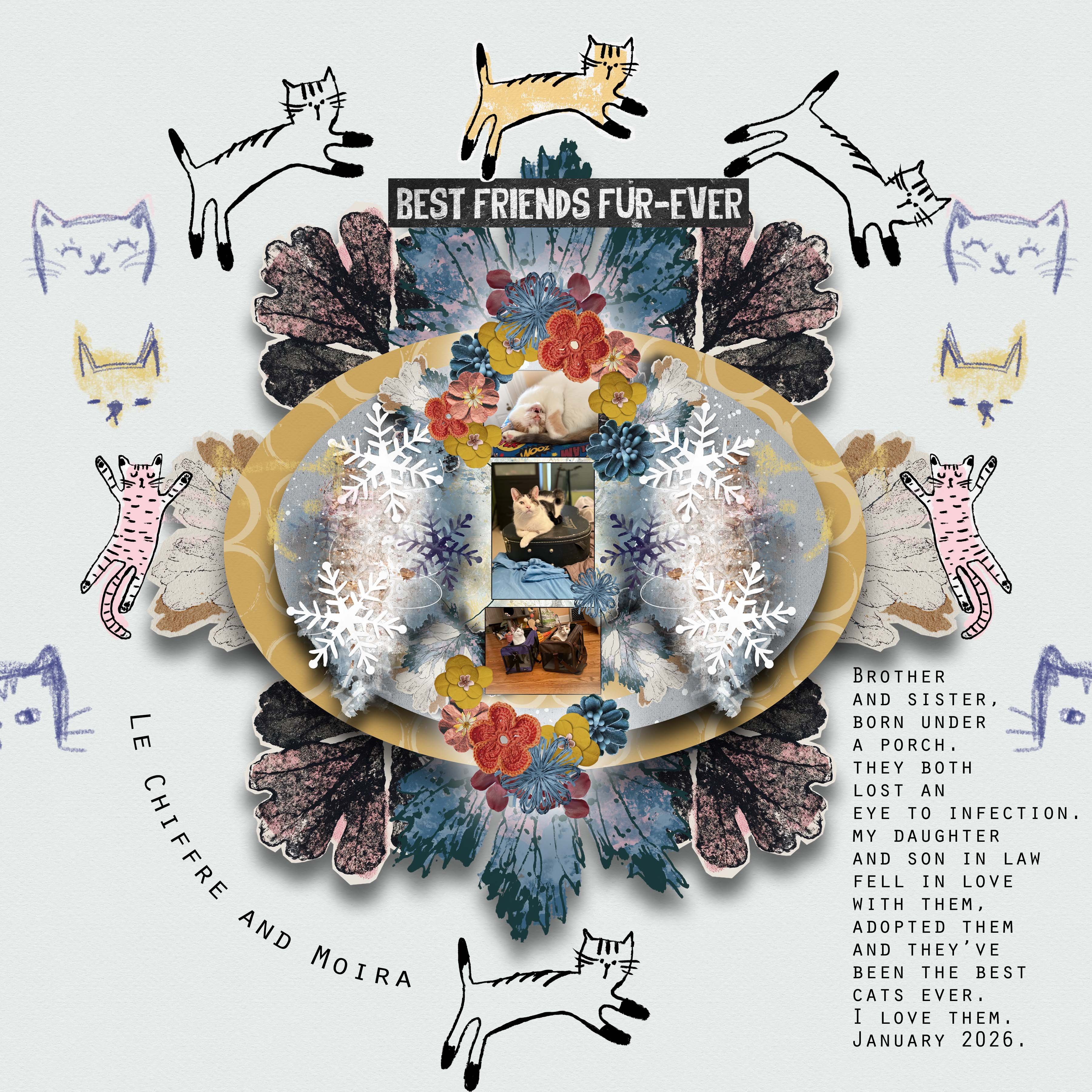 Moc Day Five Recipe for Cats.jpg