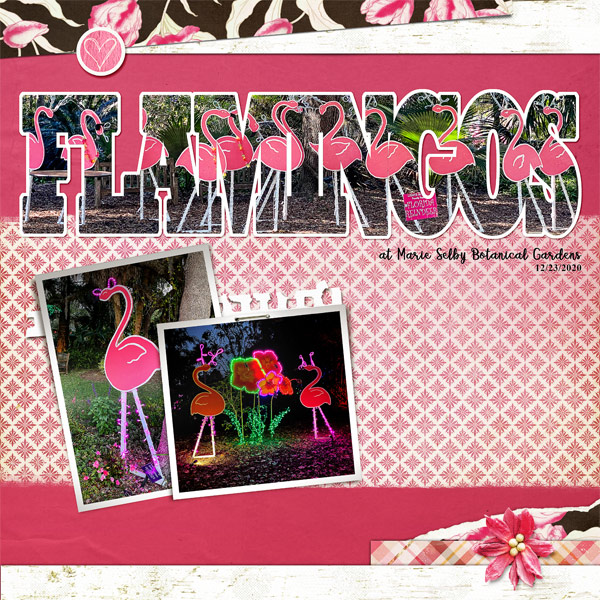 MOC Day26 - Large Title - Flamingos