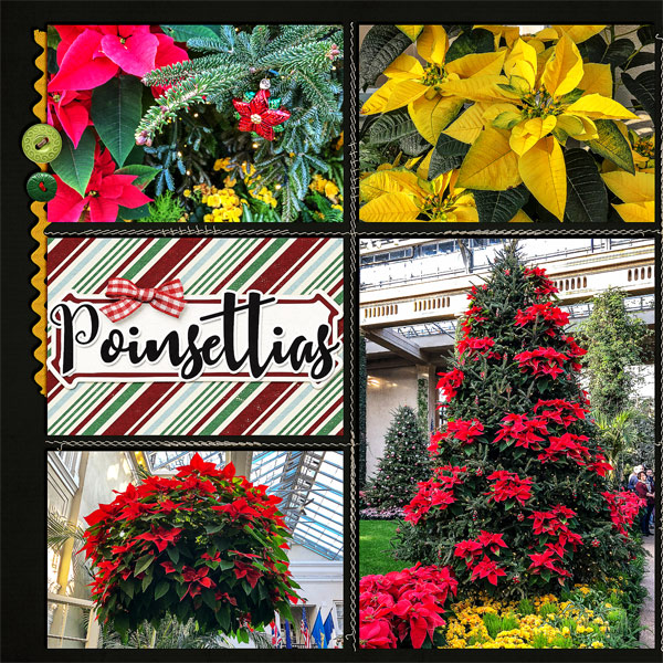 MOC Day3 - Grid Style - Longwood Gardens Poinsettias_left