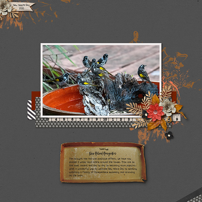 MOC1