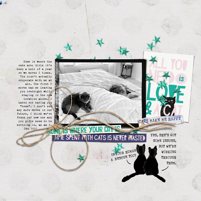 MOC10-01-catlove-copy