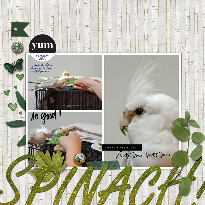 MOC10-17- green beak