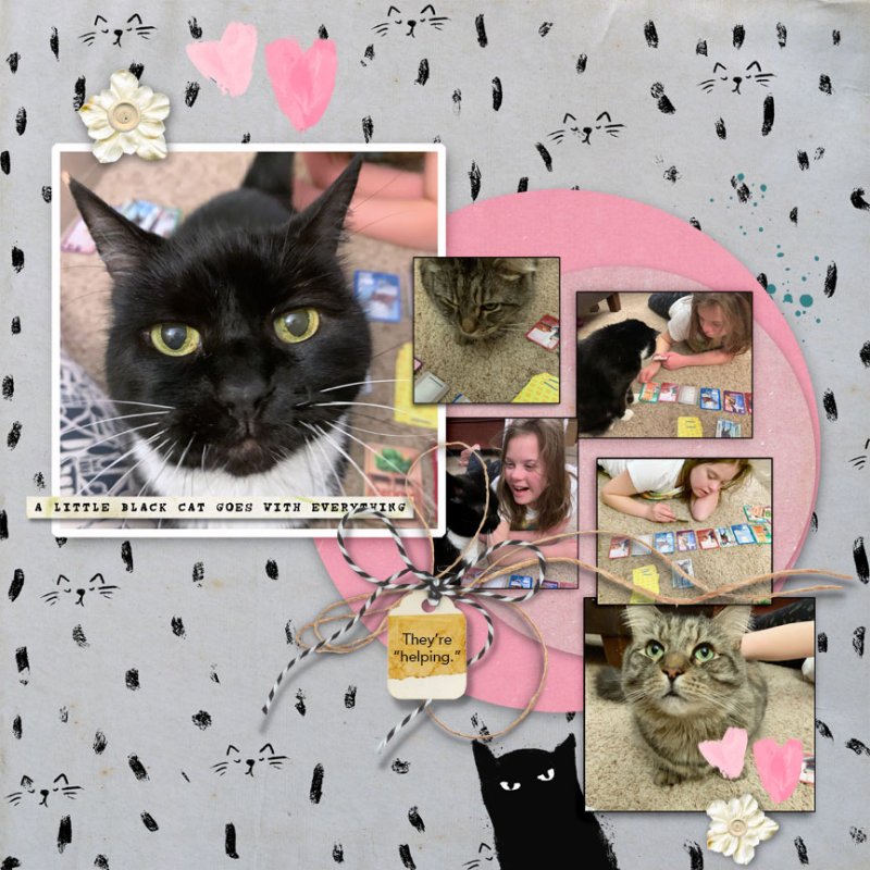 MOC10 Cats And Cards
