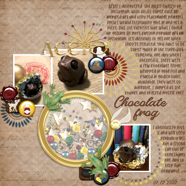 MOC10 - Jan 13: Create a Shaker Box - Chocolate Frog