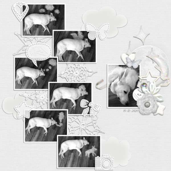 MOC10 - Jan18: All Black or All White with a B/W Photo - Floof Art