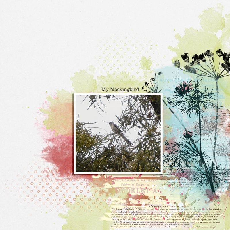MOC10---JANUARY-12---MIXED-MEDIA