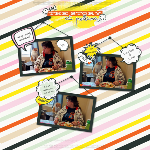 MOC10---January-24---SpeechBubbles