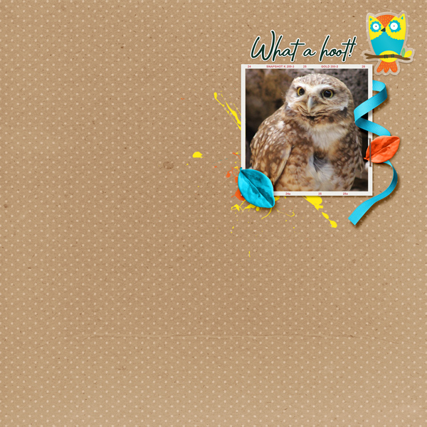 MOC10_5 What a Hoot