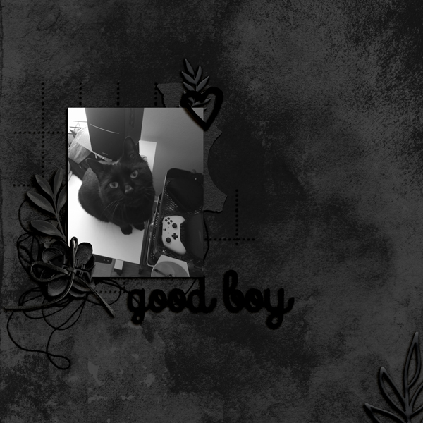 MOC10_D18_Good boy