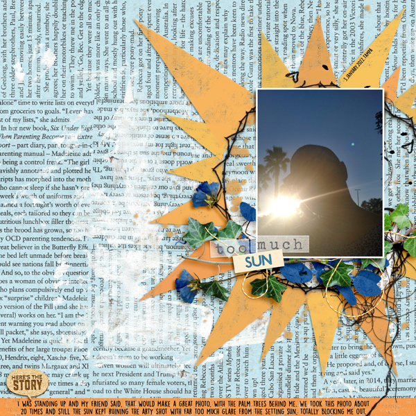 MOC10_D20_Too Much Sun