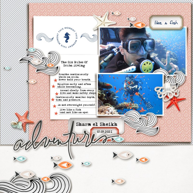 MOC10_Day7 - Like A Fish
