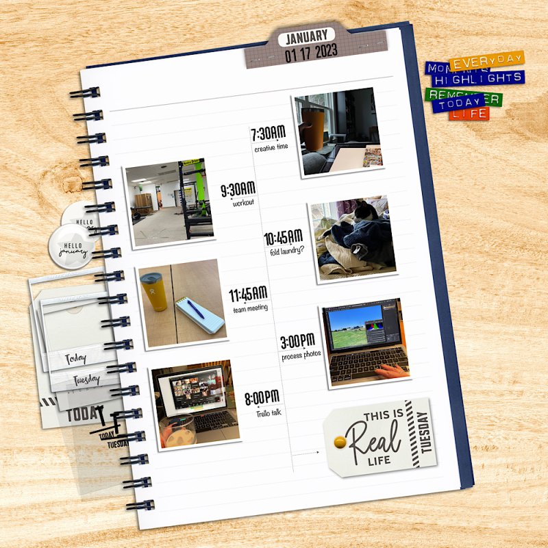MOC11-17 Document Your Day