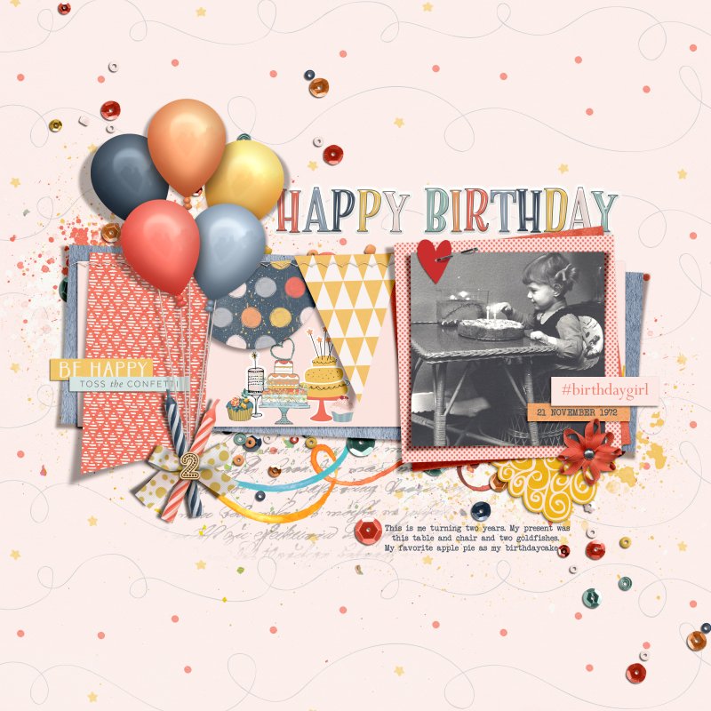 Moc11-20 Birthday