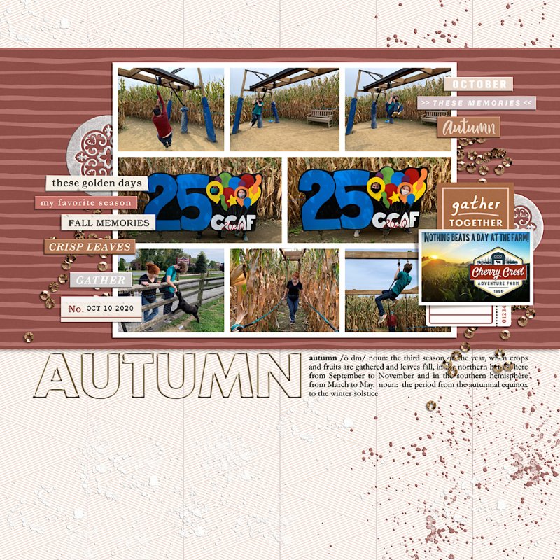 MOC11-23 Filled Template