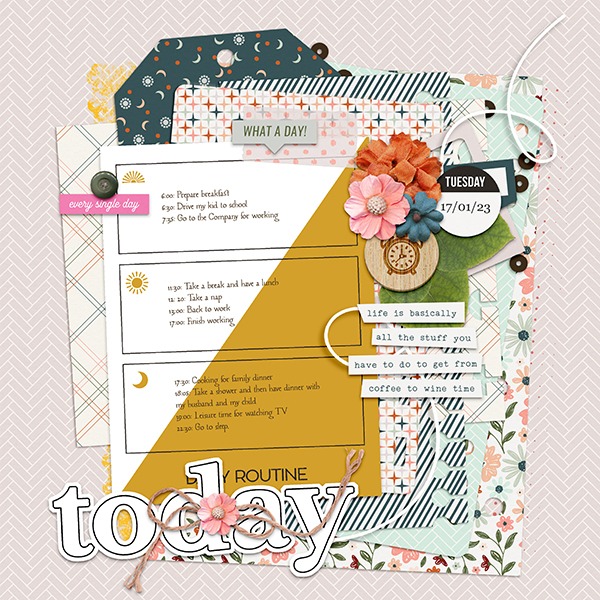 MOC11 D17 - DOCUMENT YOUR DAY