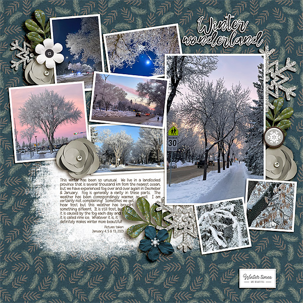 MOC11 Day 3: Winter Wonderland