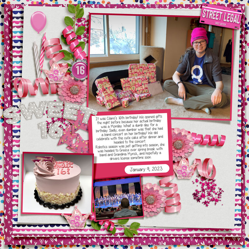 MOC11 - January 20 Birthday