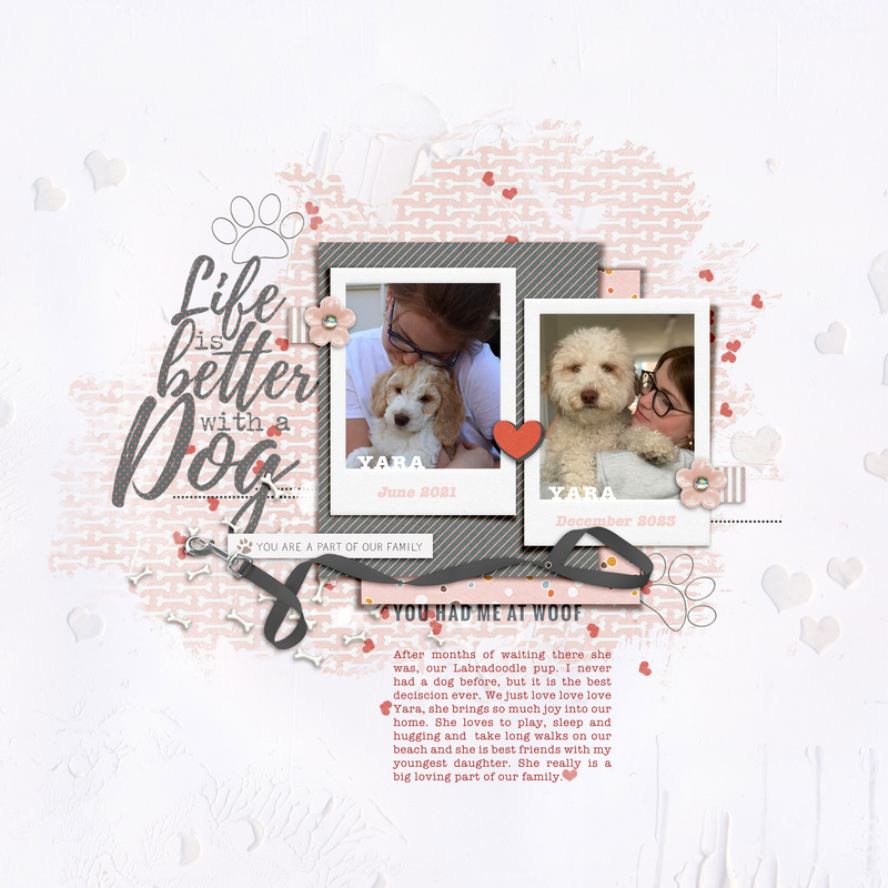 MOC12-10 Doglife