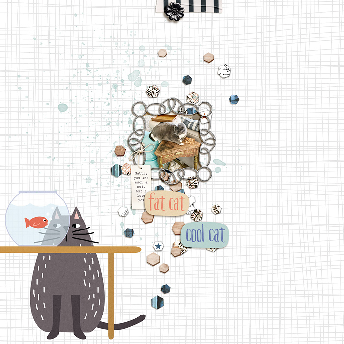 MOC12-26-Crazy-Cat-copy
