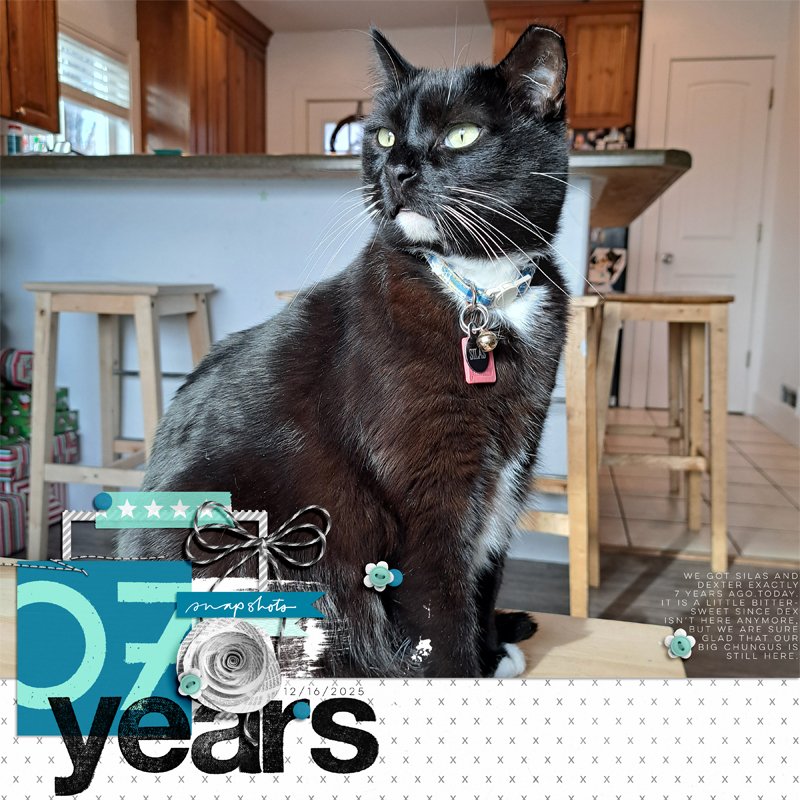 MOC13 16 - Large Photo - 7 years