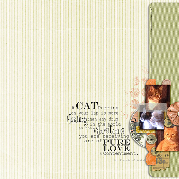 MOC13 cats