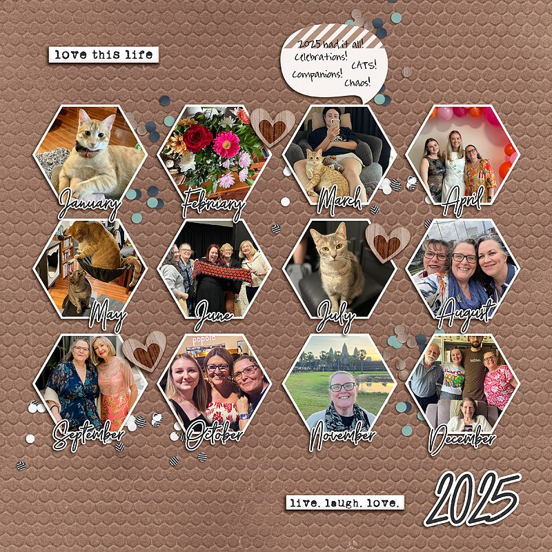 MOC13 Jan 21 - Year in Review - Amandac