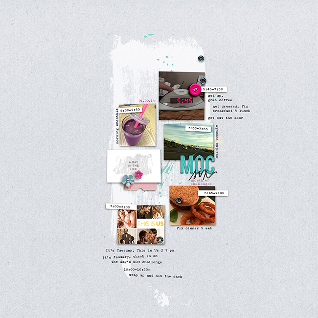 MOC14_DocumentYourDay