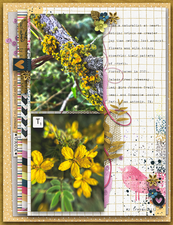 MOC15_FilledPage_Tranquility
