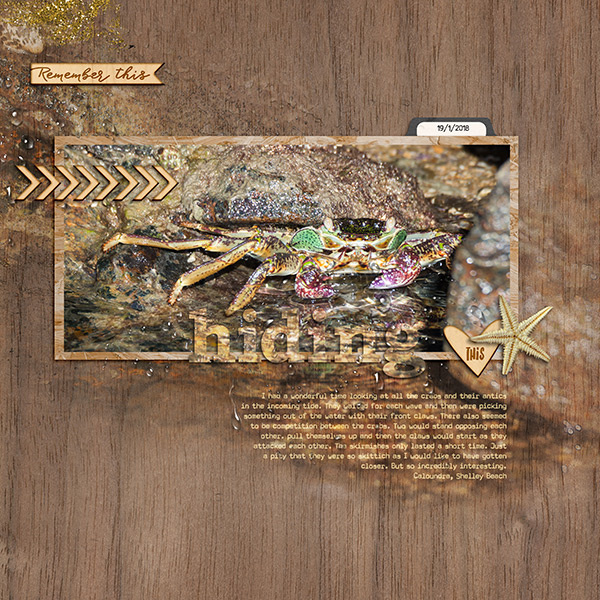 MOC19 Clip Photo