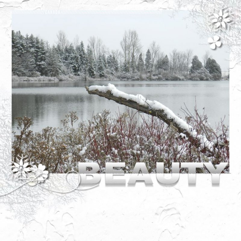 MOC2019_9_White on White