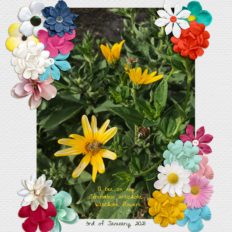 MOC2021 Day 4 - Flowers