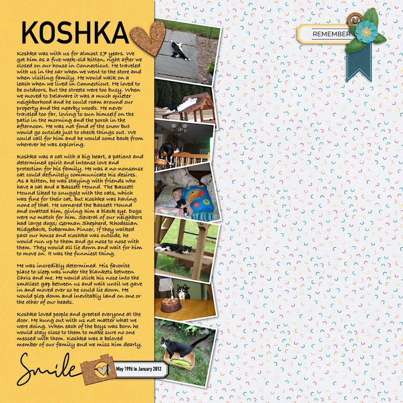 MOC2022-26 Tribute or Remembrance: Koshka