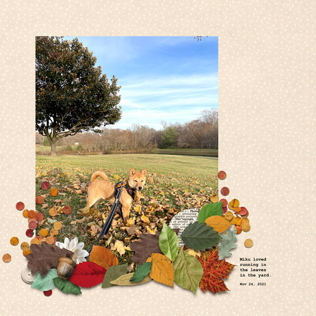 MOC2022 - Day 28: Playing in Leaves