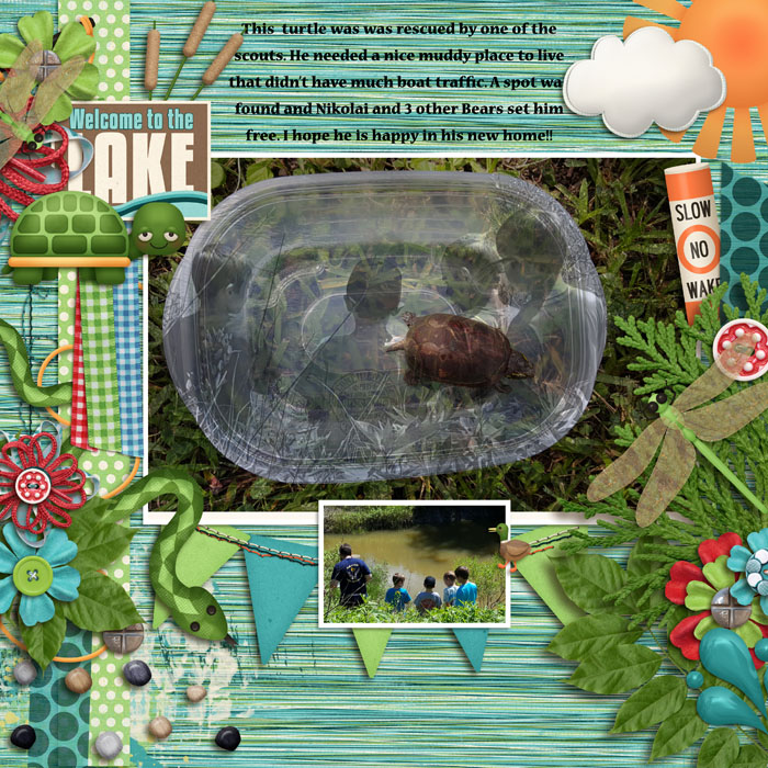 MOC23 Home for Turtle