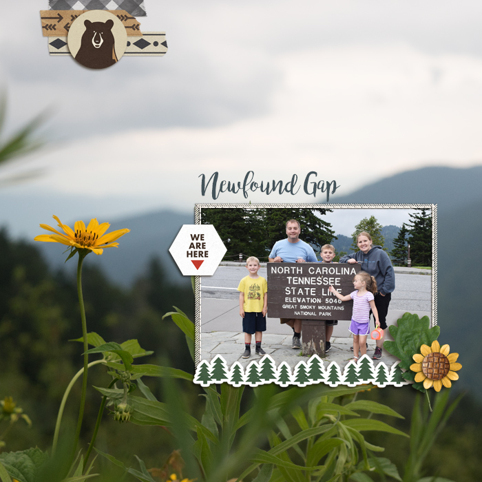 moc25-newfoundgap