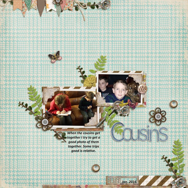 MOC30 Cousins