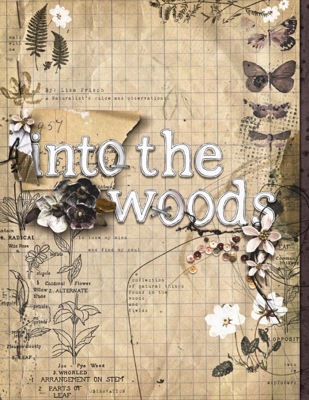 MOC30_AlbumCover_IntoTheWoods