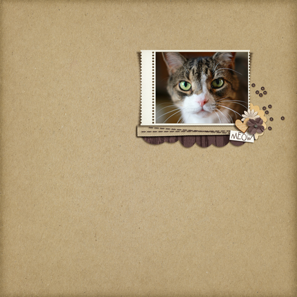 MOC4-19-Meow
