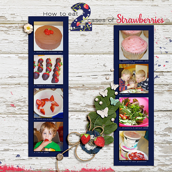 MOC4 #2 Strawberries