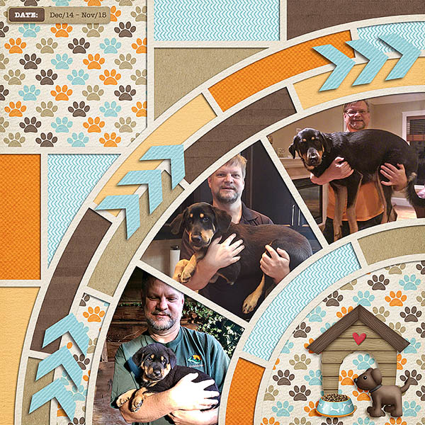 MOC4 Day 29 Photo Story